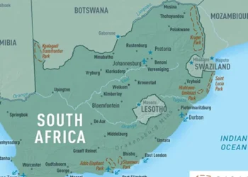 Nigerians-in-South Africa