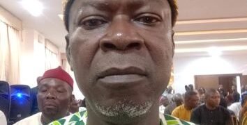 APC Anambra congresses peaceful, party chieftain Igboekwe praises Tinubu, leaders