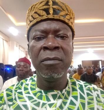 APC Anambra congresses peaceful, party chieftain Igboekwe praises Tinubu, leaders