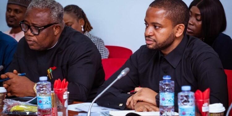 SEDC Mandate: Ejimofor Opara Warns Mark Okoye Against Tony Nwoye’s “Minimalist” Approach