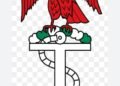 ‎Navy busts illegal refinery, seizes 20,000 litres of crude in Bonny  ‎