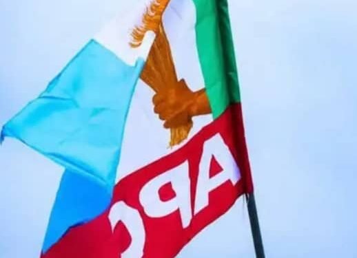 ‎APC Convention: 32 Governors, 8,450 Delegates Storm Abuja