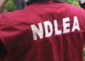 Jos North Attack: 10 Killed as Gunmen in NDLEA Uniforms Storm Community