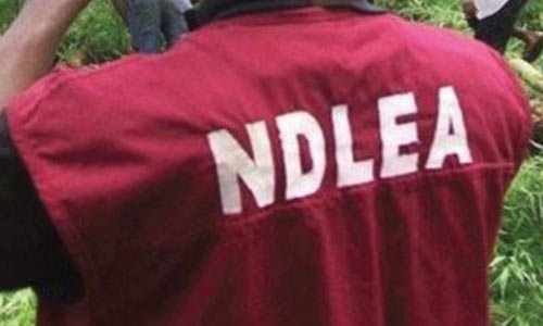 Jos North Attack: 10 Killed as Gunmen in NDLEA Uniforms Storm Community