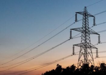 Anambra Electricity Protest: Convener Tells Police ‘Arrest Me If You Must’