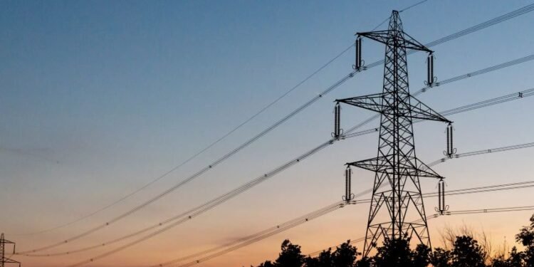 Anambra Electricity Protest: Convener Tells Police ‘Arrest Me If You Must’
