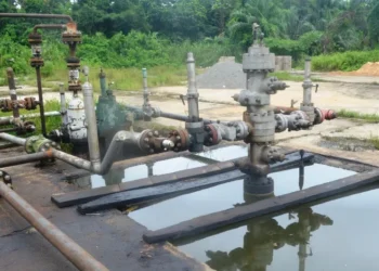 Oil Wells Recovery From Delta to Boost Anambra Revenue – Official