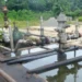 Oil Wells Recovery From Delta to Boost Anambra Revenue – Official