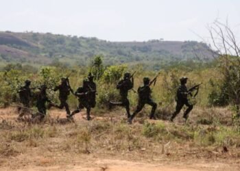 Troops Neutralises IEDs in Abia Forest, Thwarts Suspected Insurgent Plot