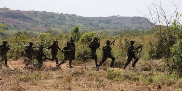 Troops Neutralises IEDs in Abia Forest, Thwarts Suspected Insurgent Plot