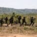 Troops Neutralises IEDs in Abia Forest, Thwarts Suspected Insurgent Plot