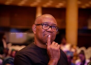Peter Obi Cannot Return to Contest 2027 Presidency on Labour Party Platform – Nenadi Usman