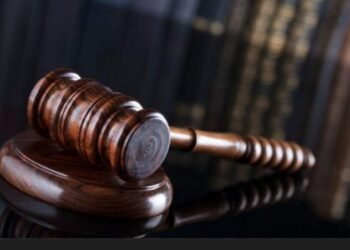 ‎Remilekun Temitope Balogun-Okedeyi Jailed for Impersonating NAFDAC Official in Visa Fraud
