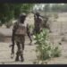 Troops Busts Oil Theft Syndicate Near Dangote Refinery, Arrests 15