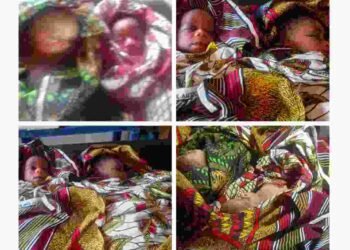 ‎Abandoned Newborn Twins Rescued in Benue Bush