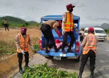 Ibadan-Lagos Expressway Accident Leaves Five Injured