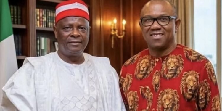 NDC Offers Presidential Ticket to Obi, Kwankwaso Ahead of 2027 Elections