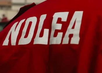 NDLEA Drug Arrest: 93-Year-Old Grandfather, Doctor Among Suspects Nabbed