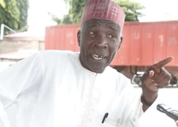 2027: NNPP and Labour Party Crisis: Galadima Says Tinubu Administration Destroying Opposition Platforms