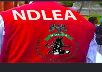 ‎NDLEA Busts Drug Networks in Abuja, Arrests 132 Suspects in Major Crackdown