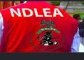 ‎NDLEA Arrests Octogenarians, Others in Nationwide Anti-Drug Crackdown  ‎