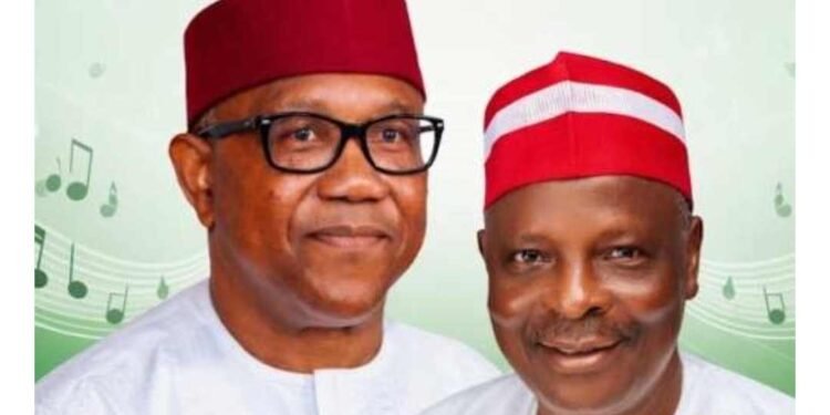 ADC Showdown: Obi, Kwankwaso Forge Alliance Ahead of Presidential Primary