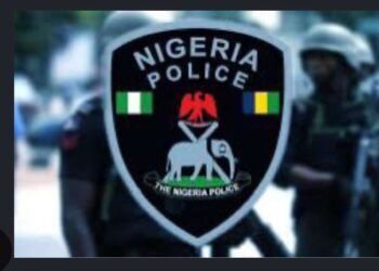 Police Detain Officer After Alleged Escape of Rape Suspect During Investigation