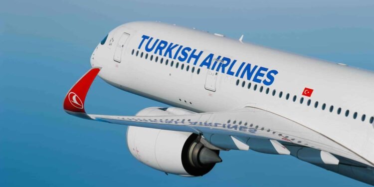 Turkish Airlines Landing Gear Fire: How 277 Passengers Escaped Death