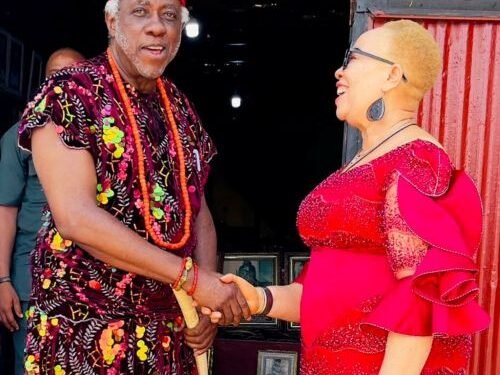 War Against Moral Decadence: NOA, Anambra Monarchs Forge Alliance
