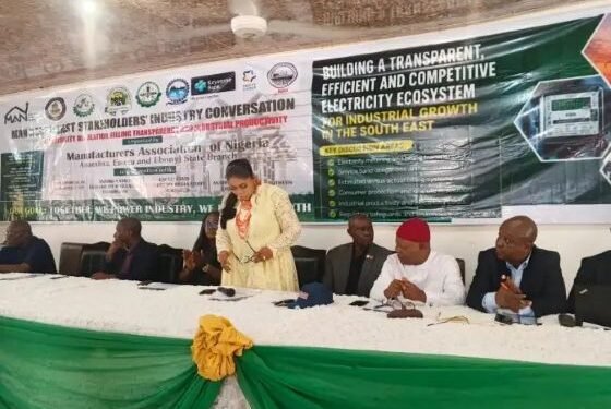 Southeast Manufacturers Crisis Deepens Over Rising Energy Costs, Poor Electricity Supply
