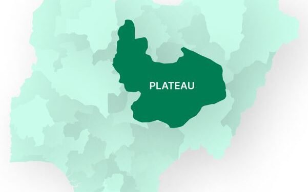 Plateau Massacre: Grieving Brother Recounts Horror as Gunmen Kill Pregnant Sister in Labour Room