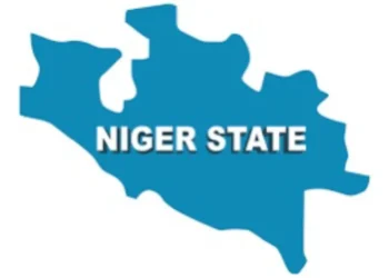 Boko Haram Informant: Security Operatives Arrest Suspected Terrorist Collaborator in Niger