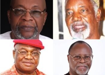 June 12 Honours: Chidoka Commends Tinubu for Correcting Historical Omissions