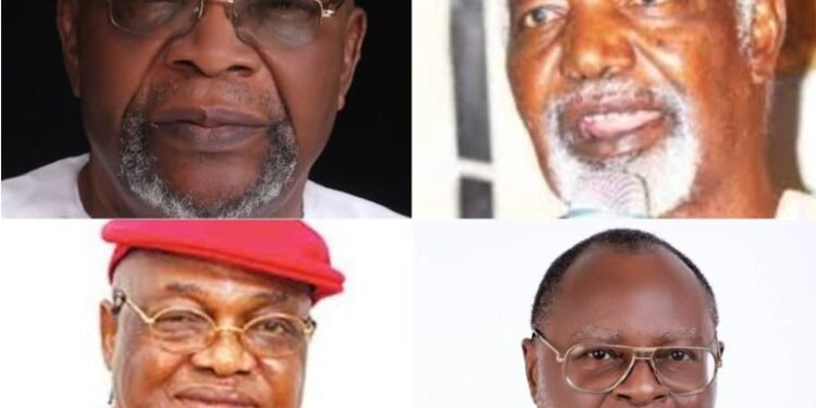June 12 Honours: Chidoka Commends Tinubu for Correcting Historical Omissions