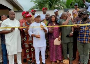 Solar-Powered Borehole Ends 10-Year Water Scarcity in Anaocha