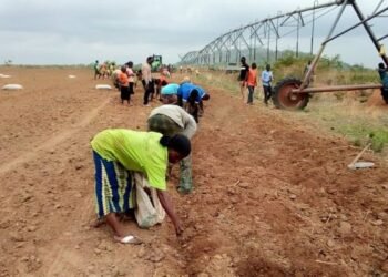Anambra Agriculture Set for Major Overhaul Under Soludo’s 2026 Vision