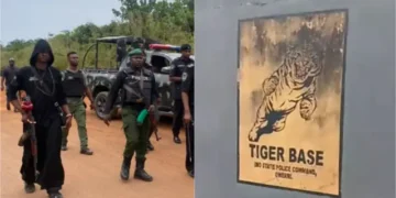 Tiger Base Faces Multiple Court Challenges Over Alleged Torture and Missing Children