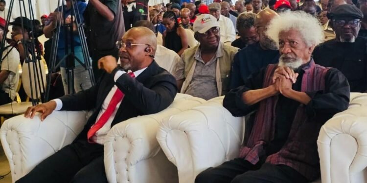 Wole Soyinka Lecture: Osita Chidoka Outlines Path to Accountable and Just Nigeria