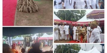 Igwe Azia New Yam Festival Marks Historic 1st Celebration Under Igwe Francis Chikezie