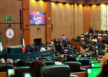 N75bn UBEC Debt: House of Representatives Summons Finance Minister Taiwo Oyedele and AGF