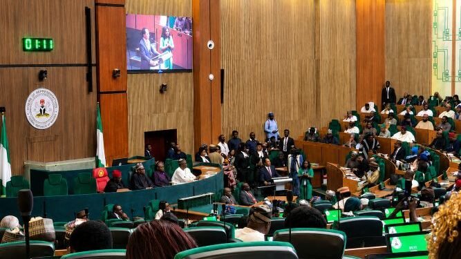 N75bn UBEC Debt: House of Representatives Summons Finance Minister Taiwo Oyedele and AGF