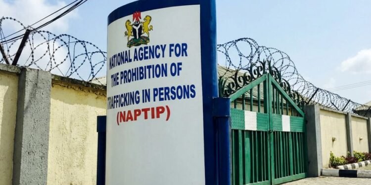 Nigerians rescued from cybercrime syndicates return home after Ghana operation